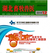 湖北省2016年畜牧兽医职称考试评审条件有哪些