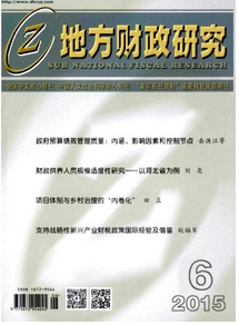地方预算管理财政新应用技巧