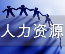 企业绩效管理中人力资源的应用技巧