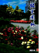 桂花园林中新应用技巧