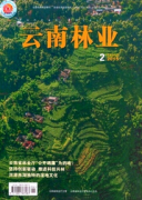 林业科技新战略方针技巧