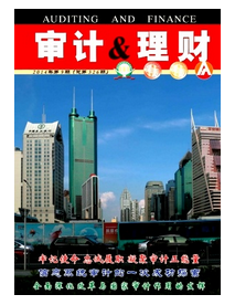 连锁经营模式中审计新应用发展状况
