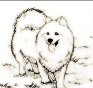 素描教学论文发表论传统素描教学的新发展思想模式