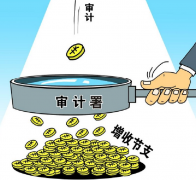 审计师论文论企业单位的审计管理新应用模式有何意义