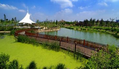 论述当前湿地园林建设的新发展模式及意义