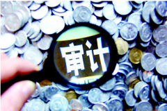 审计师论文正确认识农业中审计运用的新管理措施