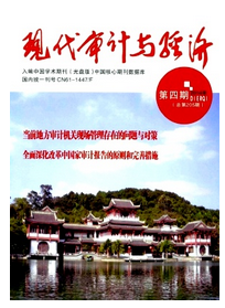 电子数据审计新科技应用方针