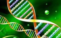 生物教学管理新应用技巧