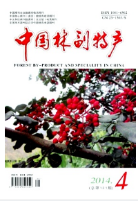中国林福特产征稿