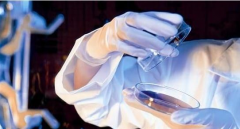论信息技术在生物图像医学中运用有何作用及意义