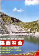 县区林业新科技发展战略