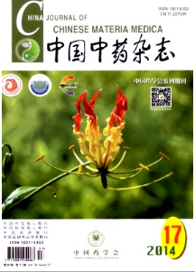 中药鉴别新方法应用制度