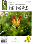 五子双母丸治疗新技巧发展措施