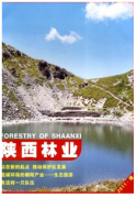 县区林业新改革发展方向制度