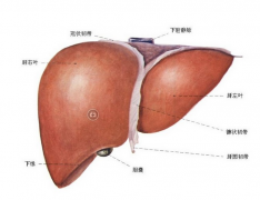 谷胱甘肽的应用及治疗新技巧