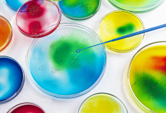 生物实验教学改革的重要意义作用