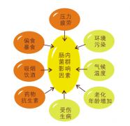 探究肠道问题有何影响