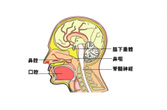 简析当前鼻咽癌的产生及护理的措施有哪些