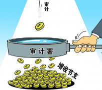 如何建设完善的农村审计制度