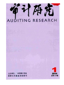 审计新应用管理条例制度发展