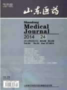主任医师发表论文的要求有哪些