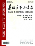 基础医学与临床医生论文发表目录参考