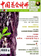 会计师论文范文会计信息化财会流程完善措施