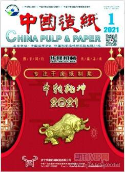 中国造纸