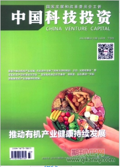 中国科技投资