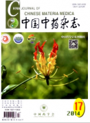 建立高血压病辨证分型规范化标准