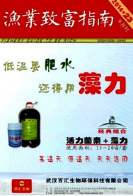 渔业致富指南
