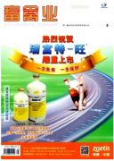 畜禽养殖科学处理排泄物污染