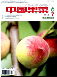 中国果菜