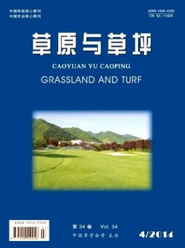 草原与草坪