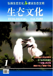 生态文化