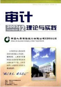 审计理论与实践