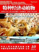 花卉养生销售的的生存空间分析