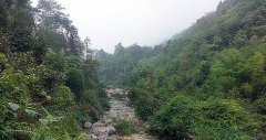 浅析林地保护与林业发展的关系