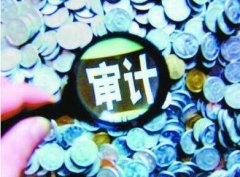 基于投资审计方法的经济责任审计思路