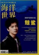 桐柏县和湾水库除险加固工程措施