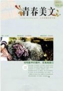 艺术欣赏视域下的陶瓷美学思路