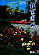 城市园林绿化养护管理存在的问题及对策