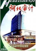 电力企业内部审计信息化建设探讨