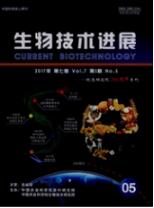 生物工程师论文