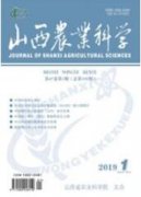 绿色小麦高产栽培技术