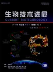 生物工程师论文