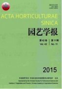 药用植物在园艺景观中的应用与发展