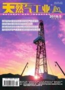 燃气行业经营风险及应对措施