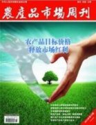 电商冲击下批发市场的发展研究