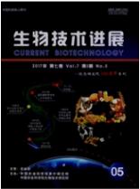 生物工程师论文